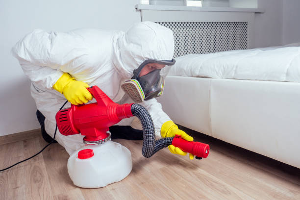 Best Real Estate Pest Inspections  in Port Sulphur, LA